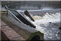 Debris from the flooded River Don near Meadowhall