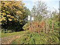 Autumn colours at the park entrance