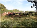 Derelict sheds