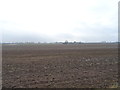 Stubble field off Miles Lane