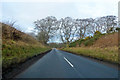 B6352 towards Kelso