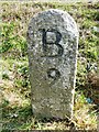 Old Milestone by the A30, near Middle Lordswaste