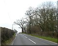 Trees and woodland on west of A358 near Balls Farm