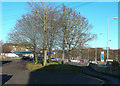 Trees, Water Street, Brighouse