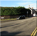 Evergreen hedge alongside the southern end of Chapel Road, Abergavenny 