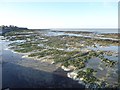 Grenham Bay at low tide