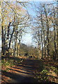 Looking along the Deeside Way