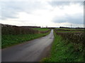 National Cycle Route 7 near The Fauld