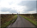 Road towards Hornickhill Farm