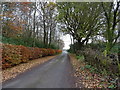 National Cycle Route 7, Woodside