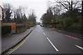 Fitzwalter Road from Granville Road, Sheffield