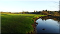 River Dane W of Hermitage Bridge, Holmes Chapel