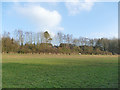 Astbury Mere - open space to the north of the mere