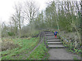 Astbury Mere - steps to the east of the mere