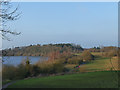 Astbury Mere - northern edge of the mere