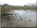 Chard Reservoir from the bird hide looking west