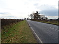 A7 near Kirklands