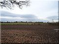 Autumn field off the A689 near Houghton