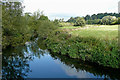 River Trent near Salt in Staffordshire