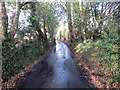 Bog Road, Pentredwr