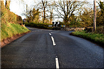H4969 : Donaghanie Road, Edenderry by Kenneth  Allen