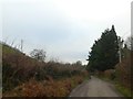 Road south-west of Burridge, following the valley of the River Kit