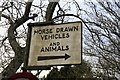 Horse Drawn Vehicles and Animals