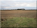 SK9122 : Stubble field near Gunby by Jonathan Thacker