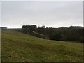 Grassland near Coul Reservoir