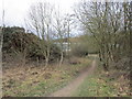 Footpath on the edge of Blidworth