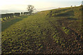 Footpath to Branton Buildings