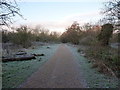 Frost on a track in the Woodgate Valley Country Park