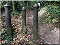 A trio of posts on a footpath near Studland church