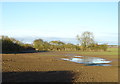 Field near Catfoss Cottages