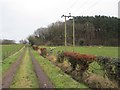 Track from Garrion Gill Nature Reserve to Brownlee Road