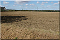 Planted field near Perry Green