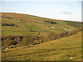 The lower Rookhope valley around Hole House (3)