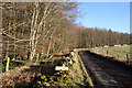 The road to Penmanshiel Farm