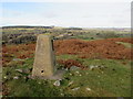 Trig point on Mynydd Myfyr (341m)