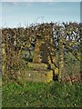 Kilton Forest Farm triangulation pillar