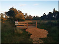 SY9787 : Viewing platform at Coombe Heath Pond, RSPB Arne by Phil Champion