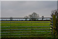 Clayhidon : Grassy Field & Gate