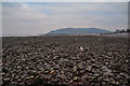 Porlock : Porlock Beach