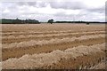 Harvested field, Green Valley