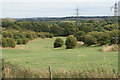 Hillside near South Hanningfield