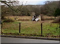 Tumbledown building in a Seven Sisters field