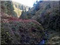 NT9113 : Steep valley of Lindhope Burn below the waterfalls by Andrew Curtis