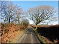 Minor road to Wheadon Cross