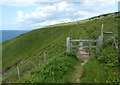 SN0642 : Gate along the Pembrokeshire Coast Path by Mat Fascione