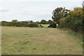 Footpath towards Bromley Lodge